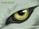 YelloWolf