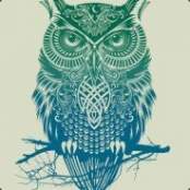 NightOwl