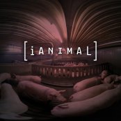 iANIMAL